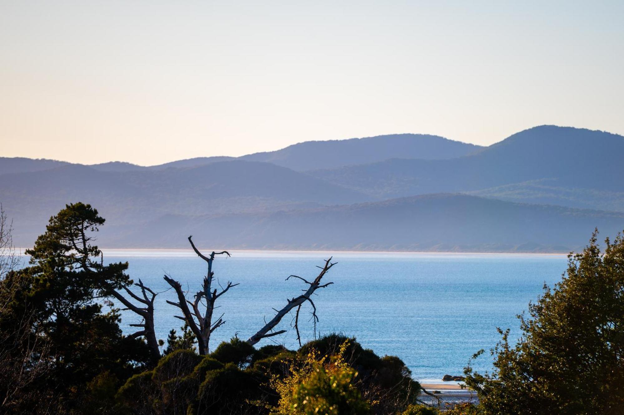 ホテル ハウリー ハウス Port Sorell エクステリア 写真